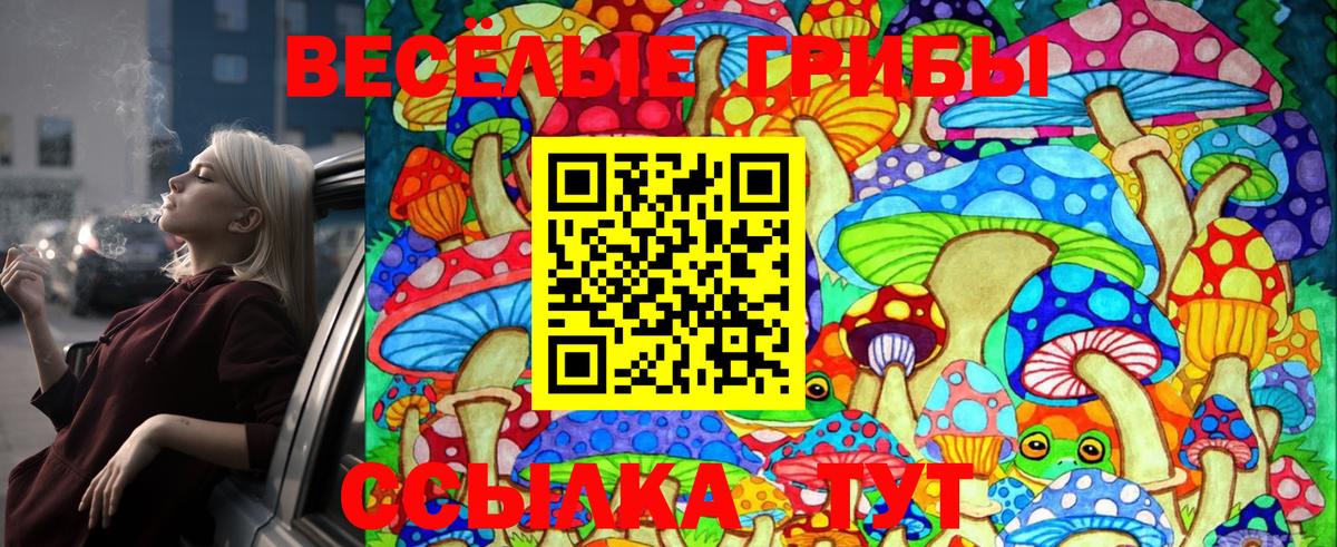 Псилоцибиновые грибы MAGIC MUSHROOMS  Псилоцибиновые грибы ЛСД  Волгодонск 