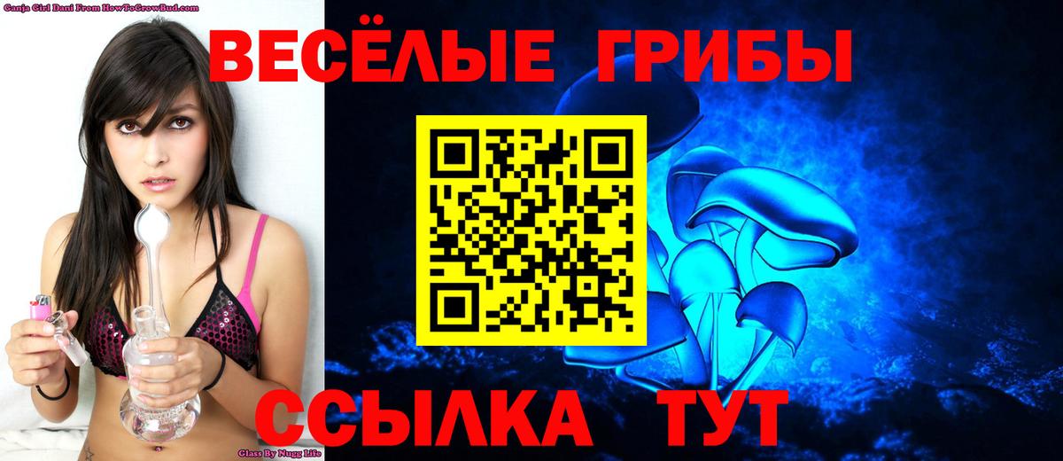 Галлюциногенные грибы Psilocybine cubensis  Вход с VPN  Псилоцибиновые грибы мицелий  Волгодонск 