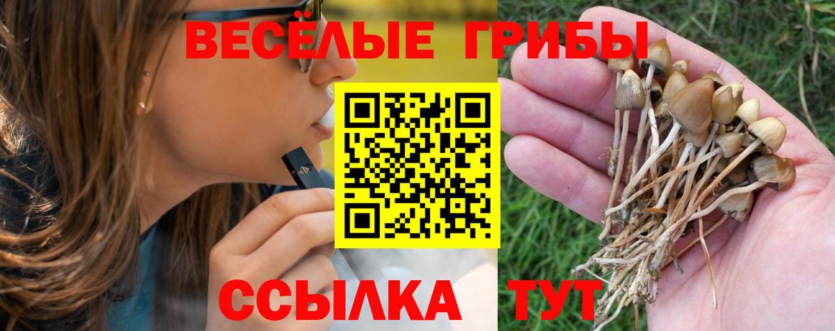 Псилоцибиновые грибы Psilocybe Волгодонск