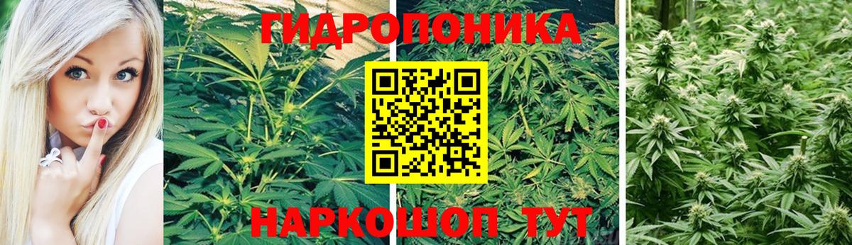 Бошки марихуана гибрид  Канабис сатива  Вход с VPN  Каннабис тримм  Волгодонск  МАРИХУАНА SATIVA & INDICA 